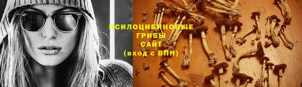 не бодяженный Арсеньев