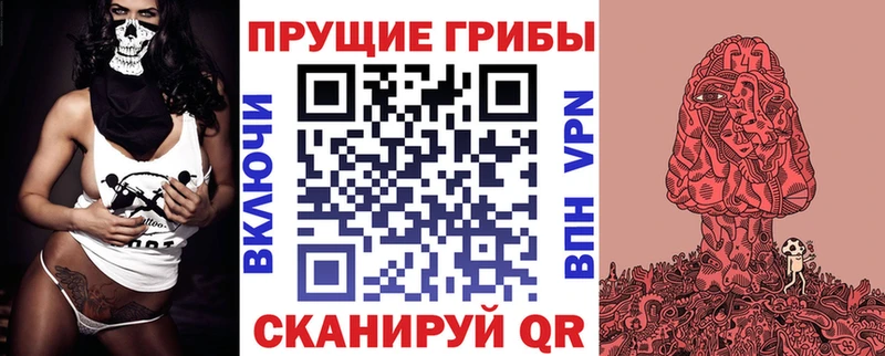 Псилоцибиновые грибы Psilocybine cubensis  Купить  Сорск 
